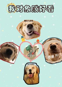 《我对象贼好看》