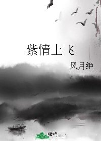 紫情上飞