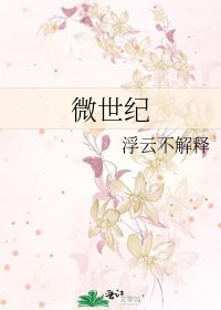 微世纪