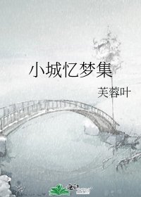 小城忆梦集