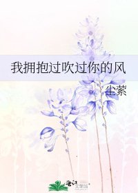 我拥抱过吹过你的风