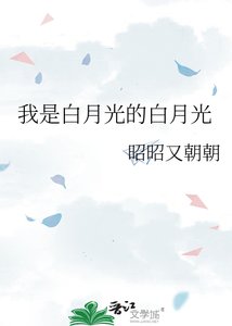 《我是沙月光的沙月光》