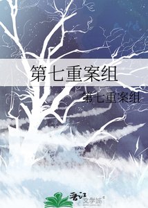 《第七重案组》