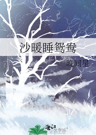 《沙暖睡鸳鸯》