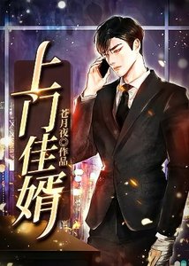 《上门佳婿》