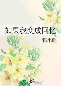 如果我变成回忆