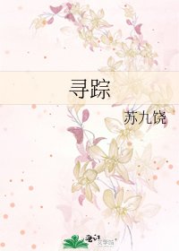 《寻踪》