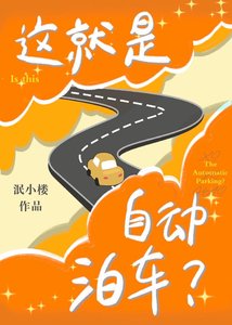 这就是自动泊车?