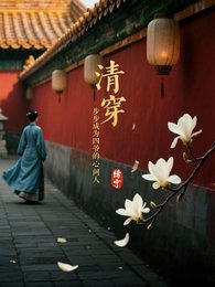 (综影视同人)清穿,步步成为四爷的心间人