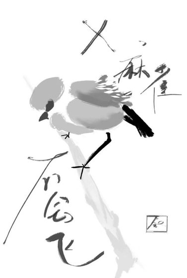 傻麻雀不会飞