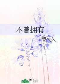 《不曾拥有》