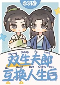 《双生夫郎互换人生欢》