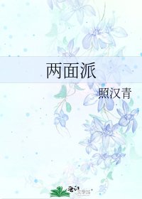 两面派