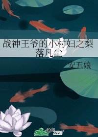 战神王爷的小村妇之梨落凡尘