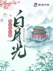 《权臣的在逃沙月光》