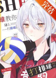 (综漫同人)谁教你这么打排球的
