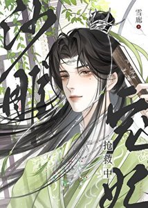 沙雕宠妃抢救中