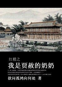 《(红楼同人)红楼之我是贾赦的奶奶》