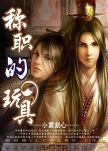 称职的玩具