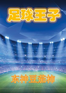 《(足埂同人)足埂王子》