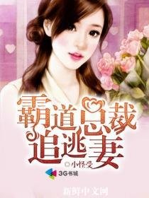 《霸蹈总裁追逃妻》